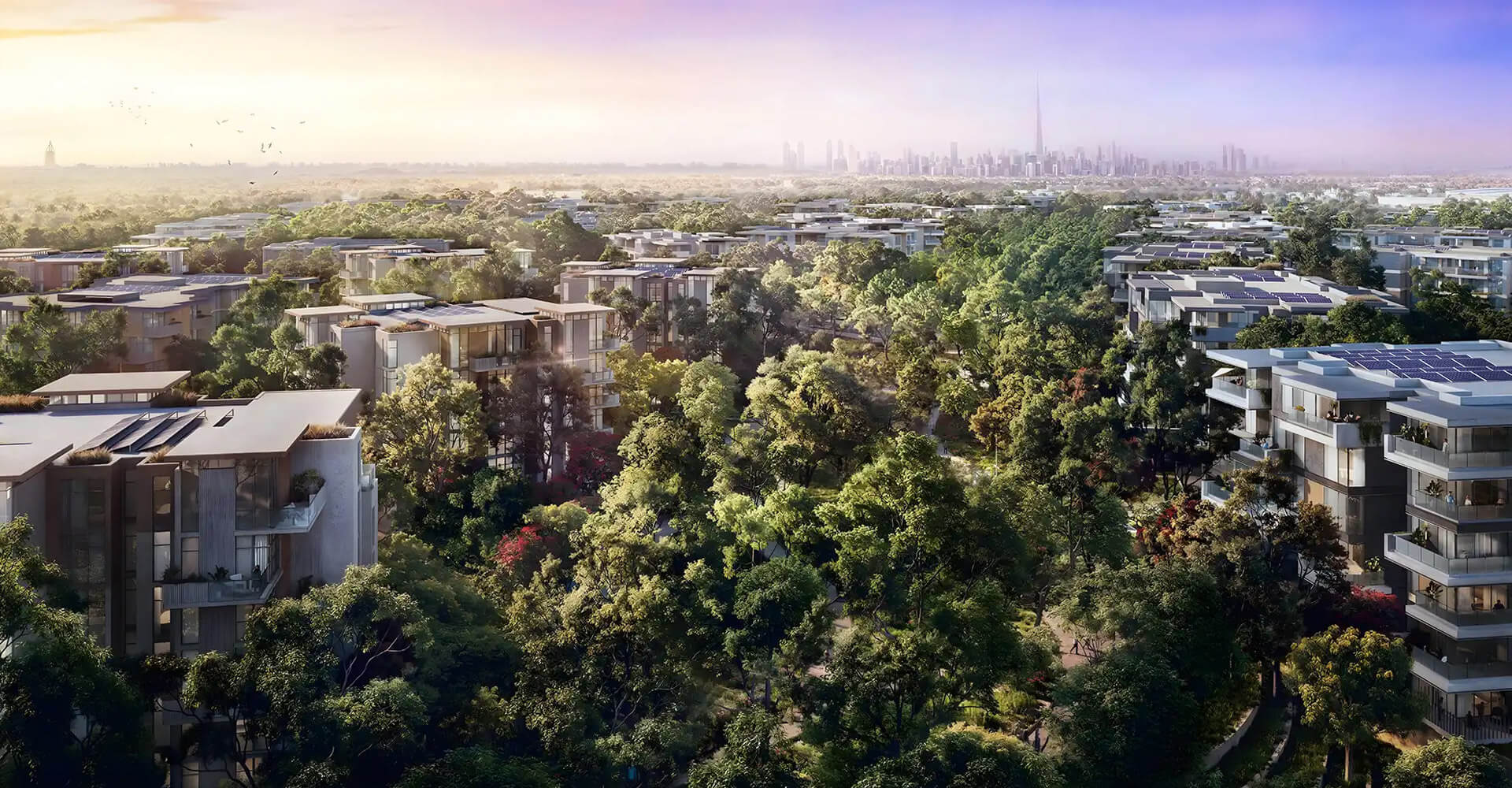 Distrikt at Ghaf Woods-03